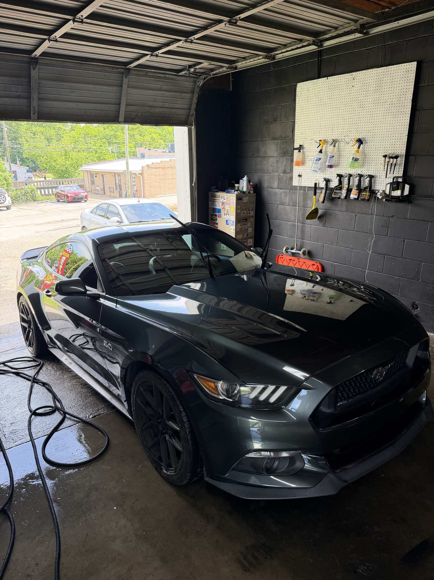 Grey Ford Mustang GT 5.0 detailed in the shop